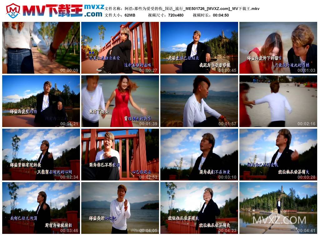 阿浩-那些为爱受的伤_国语_流行_ME501726
